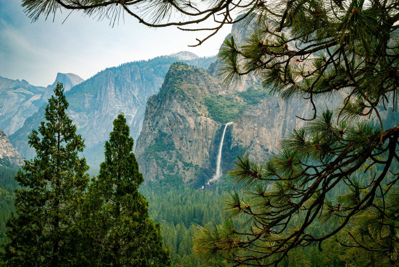 Yosemite nationalpark mariposa grove -Fotos und -Bildmaterial in hoher Auflösung
